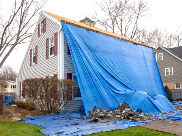 Best Vinyl Siding Installation  in Bronson, FL